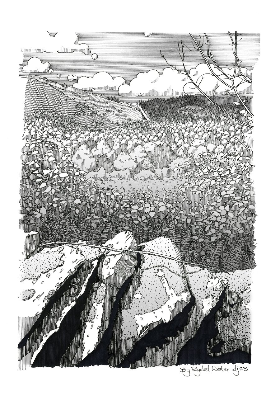 A4 print of Pen & ink line drawing 'By Rydal Water' Lake District.