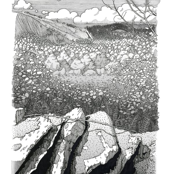 A4 print of Pen & ink line drawing 'By Rydal Water' Lake District.