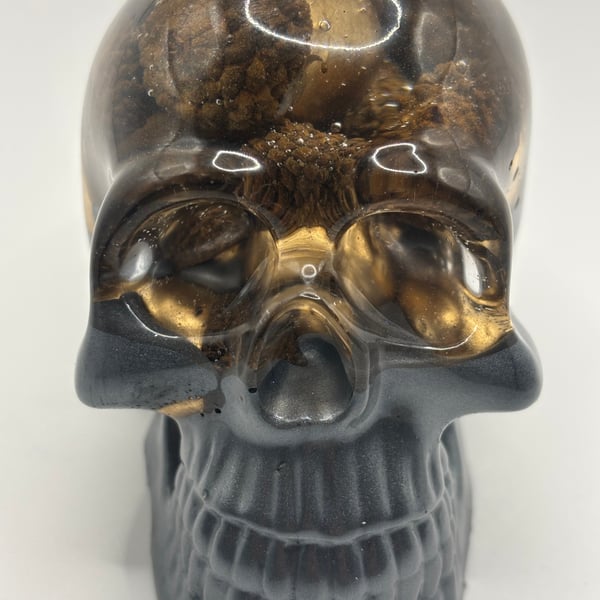Acorn skull