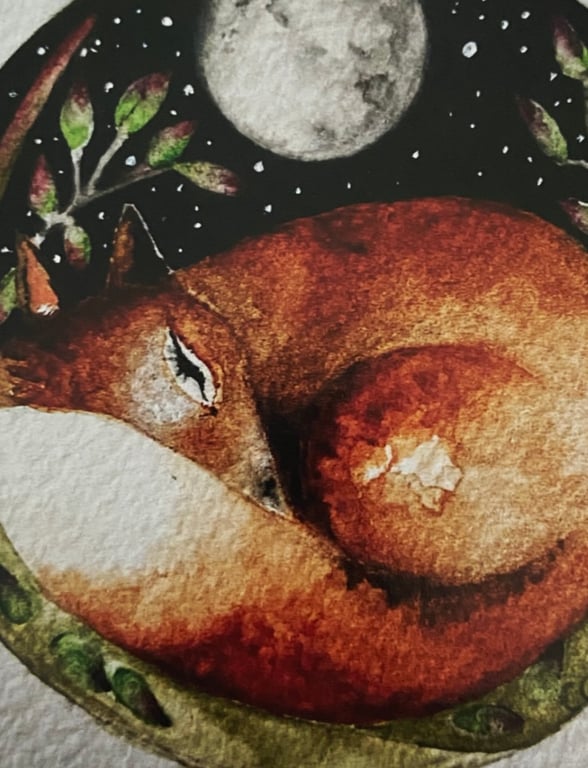  Print from my Original Resting Fox under the Moon Watercolour  Painting