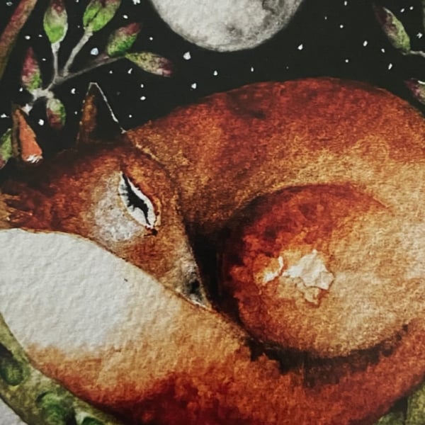  Print from my Original Resting Fox under the Moon Watercolour  Painting