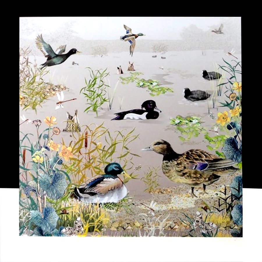 Hand-painted Dabbling Ducks Card