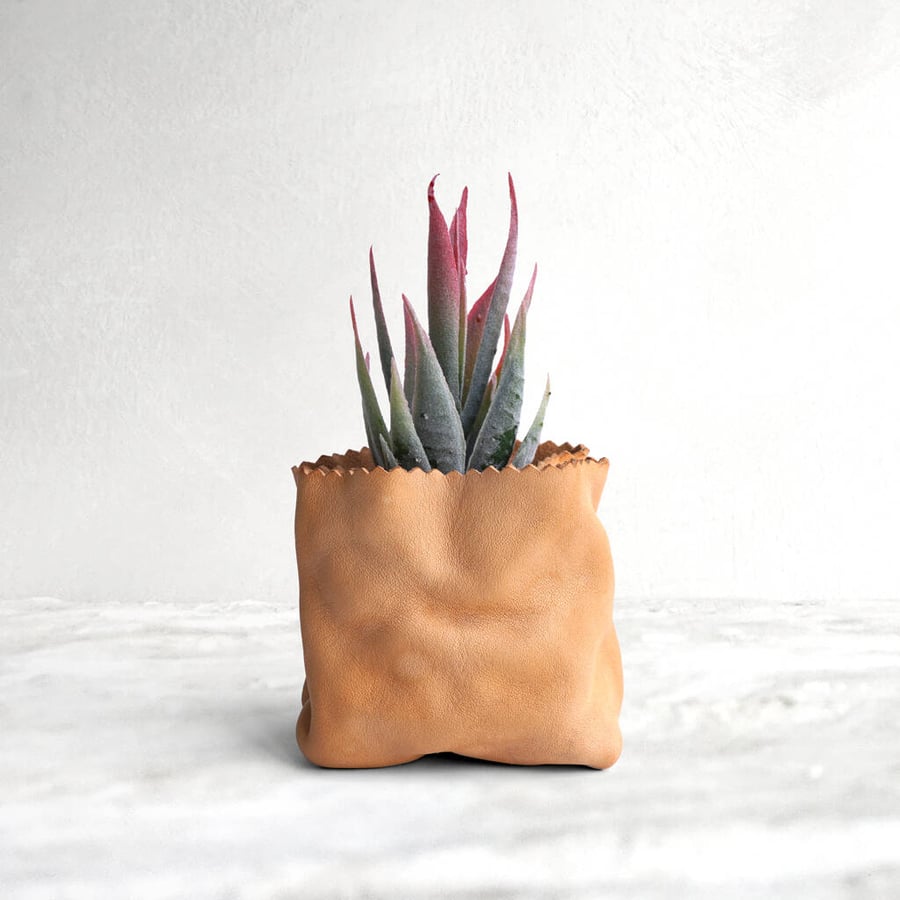 Leather planter (free artificial plant)