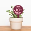 Bee-ing Amazing - Cartoon Plant Tag: Cute Personalised Mother's Day Gift Mum