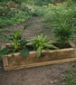 Rustic Solid Wooden plant Herb Trough Planter 60cm - Image 4