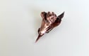 Brooches