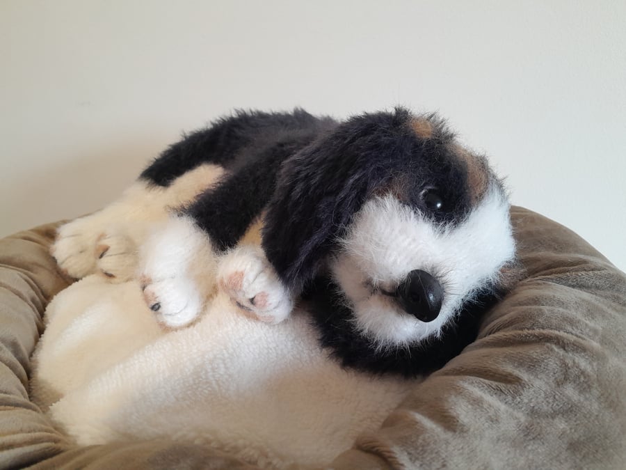 Cavalier King Charles Spaniel, dotpebblesknits design,