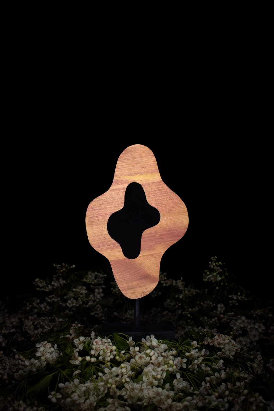 "Aura" - abstract wooden sculpture 