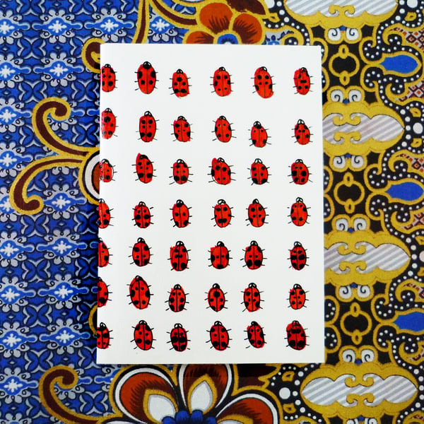 Free Postage - Ladybird Notebooks