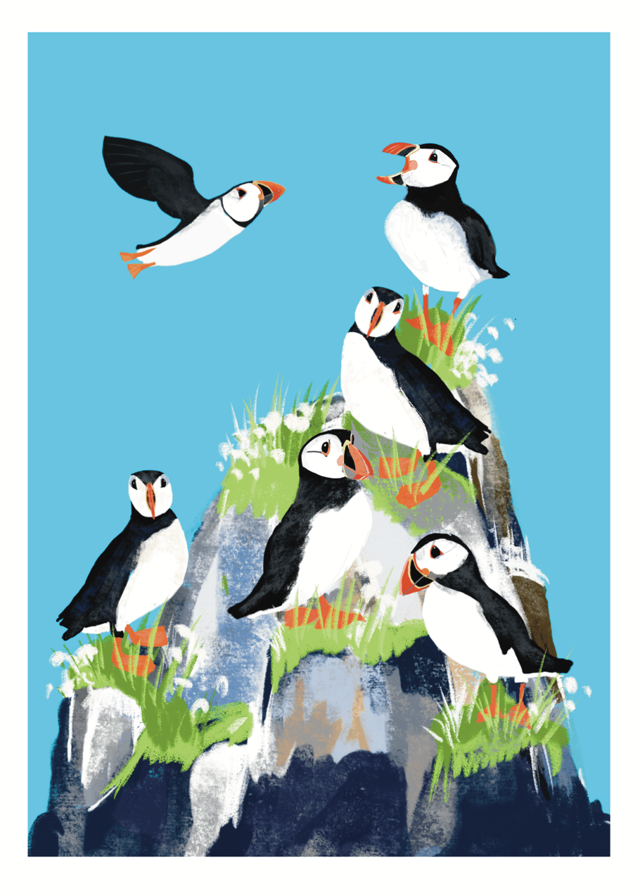 Seaside Coastal Art Bird puffin seabird Print A4 Mounted LAST ONE AVAILABLE