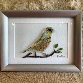 Framed fused glass greenfinch