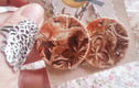 ceramic earrings