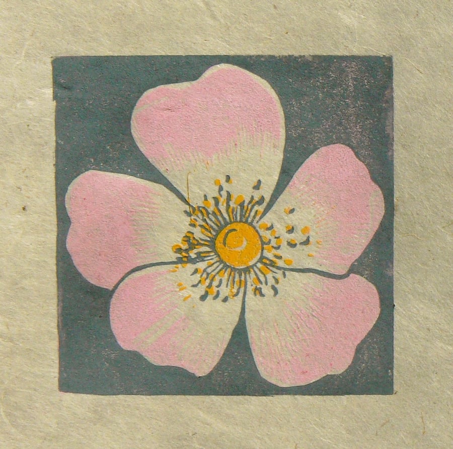 Dog Rose mini linocut print