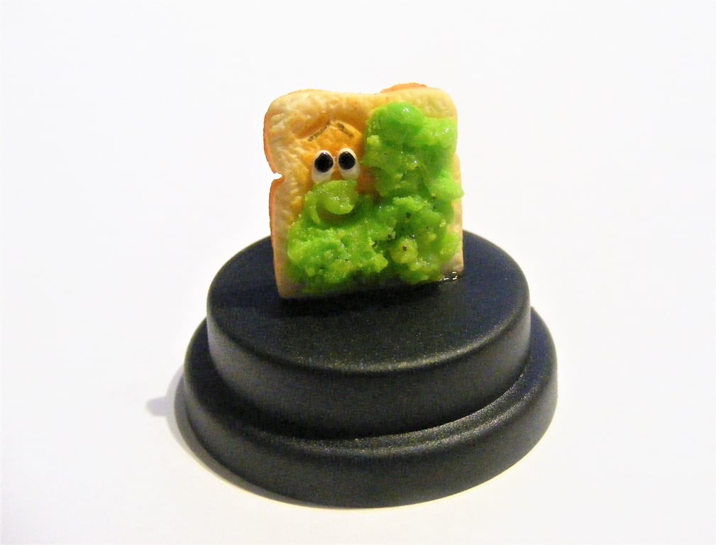 Pet Avocado Toast, Pet Smashed avocado, Vegetarian gift, Vegan gift