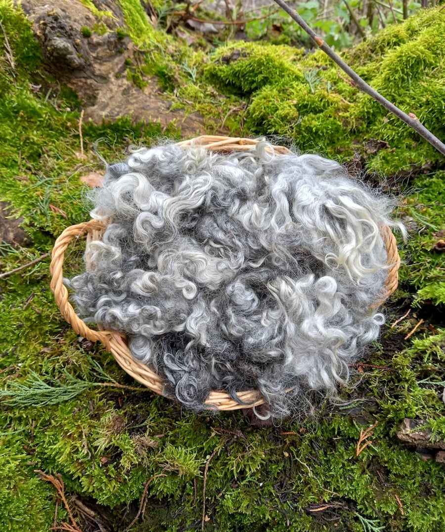 Gotland Fleece