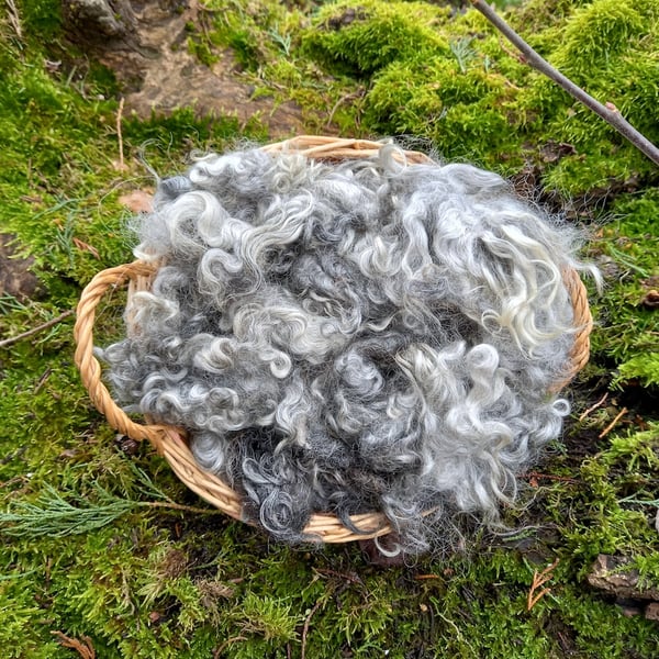 Gotland Fleece