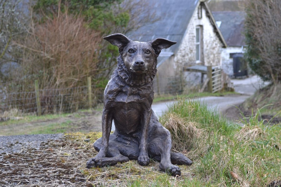 Sitting Border Collie Dog Statue Large Bronze Resin Garden Sculpture