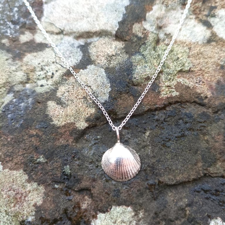 Silver Cockle Shell Pendant