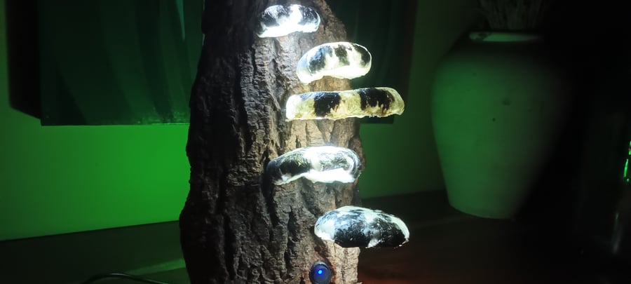 Mushroom light-Lamp - 5 Moonlight polypore fungi sculpture