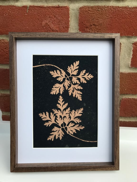 Botanical Gift, a Tea-Toned Cyanotype Photogram