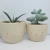 ceramic handmade bunny succulent plant pot cup pottery gift 4 rabbit lover 