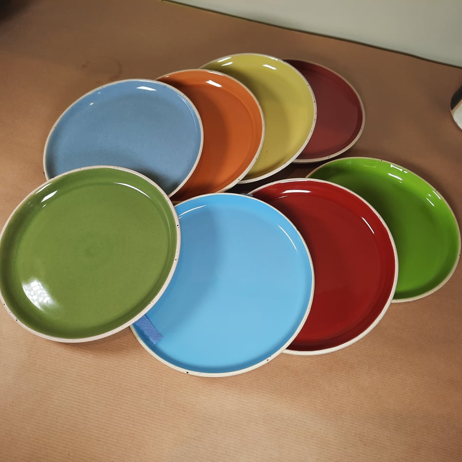 Lucille Rowe commission for 8 multi colour cheese plates