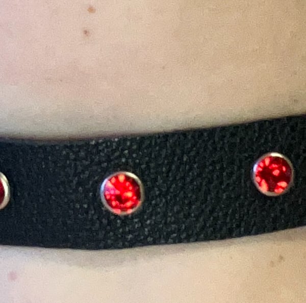 Black Leather Choker with 7 Red Gemstones (custom sized 17"-21")