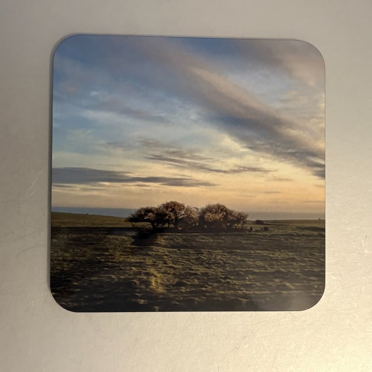 Roots of Solitude 9.5cm cork backed coaster 