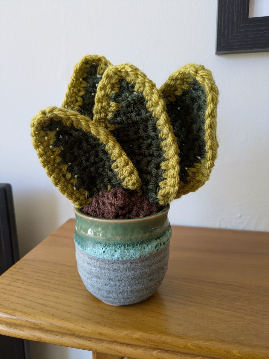 Handmade Crochet Snake Plant