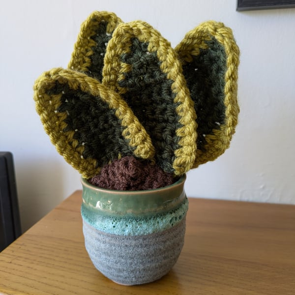 Handmade Crochet Snake Plant