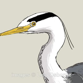 Heron. Signed print. Digital illustration. Birds. Wildlife