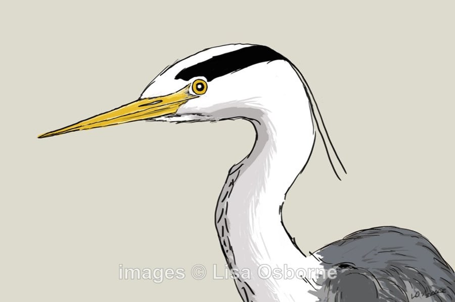 Heron. Signed print. Digital illustration. Birds. Wildlife