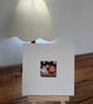 Mounted ACEO Whimsical Resting Fox with Mushrooms under the Stars Edition - Image 5