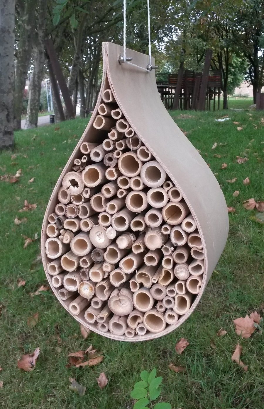 Bee Hotel