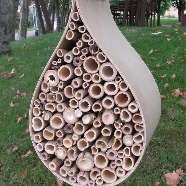 Bee Hotel