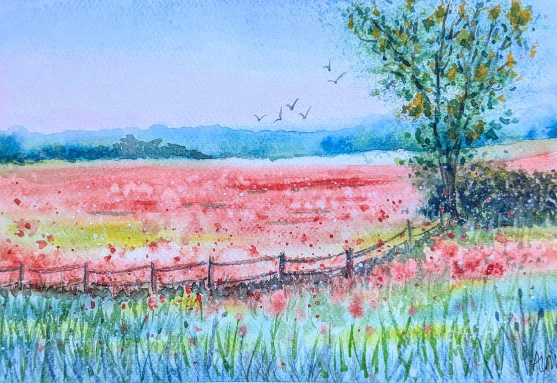 Poppy Field, framed original watercolour painting 