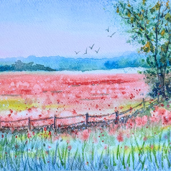 Poppy Field, framed original watercolour painting 