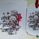 Card and gift tag set. Any occasion card, ref 994