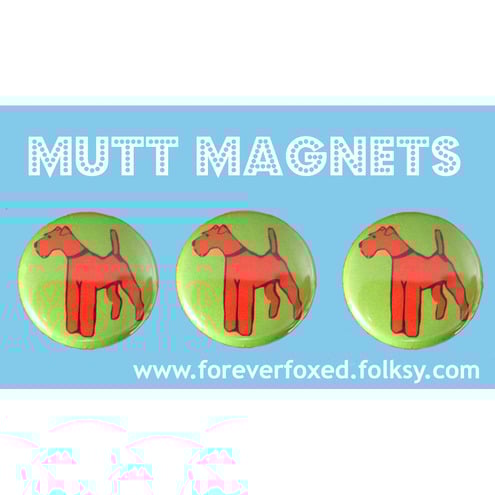 Irish Terrier Magnets