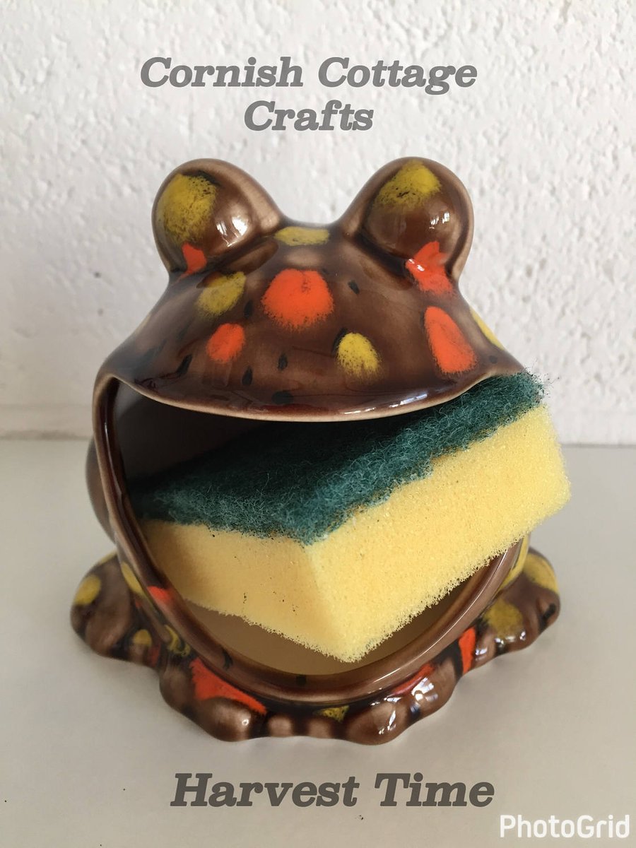 Frog sponge  holder, kitchen decor, scrubby holder soap holder housewarming gift