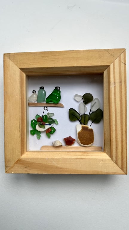 Seaglass plants and bottles on shelves  picture 