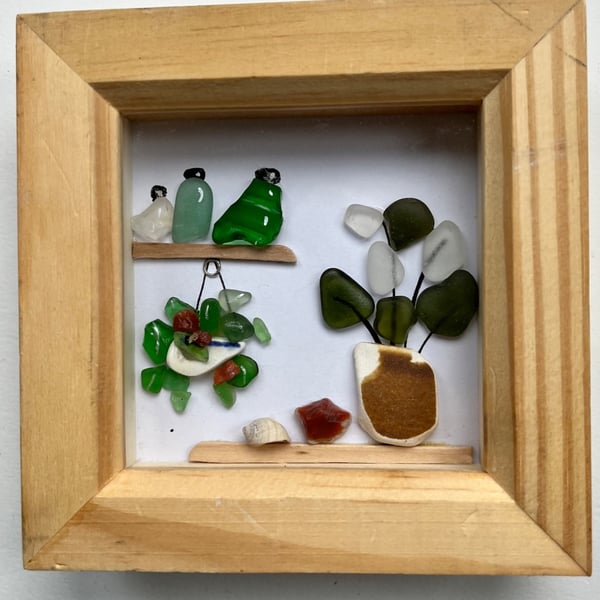 Seaglass plants and bottles on shelves  picture 