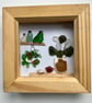 Seaglass plants and bottles on shelves  picture 