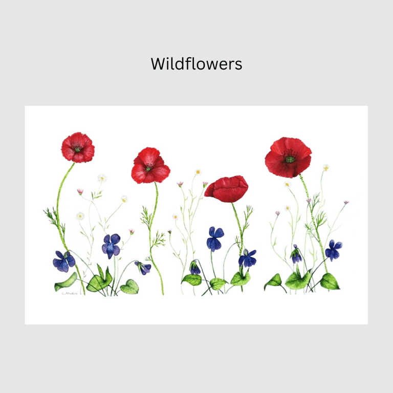 Wildflowers