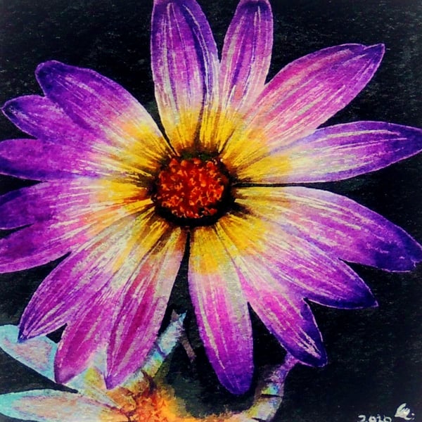 Original Botanical Watercolour Painting of Purple Daisy Flower