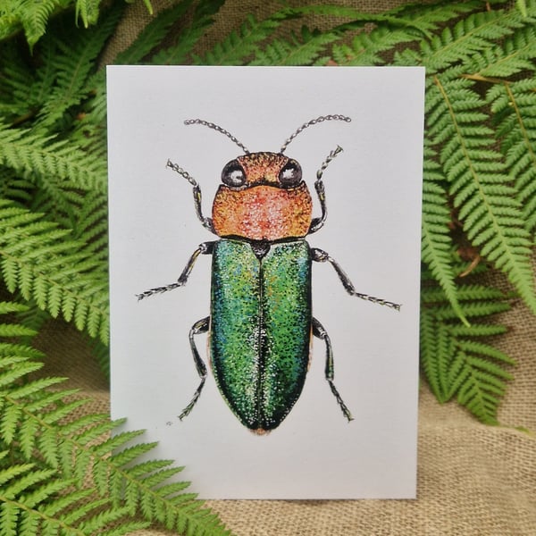 Jewel beetle card
