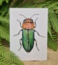 Jewel beetle card