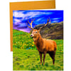 Double sided very unusual Card; Reindeer in Breathtaking Scenery 