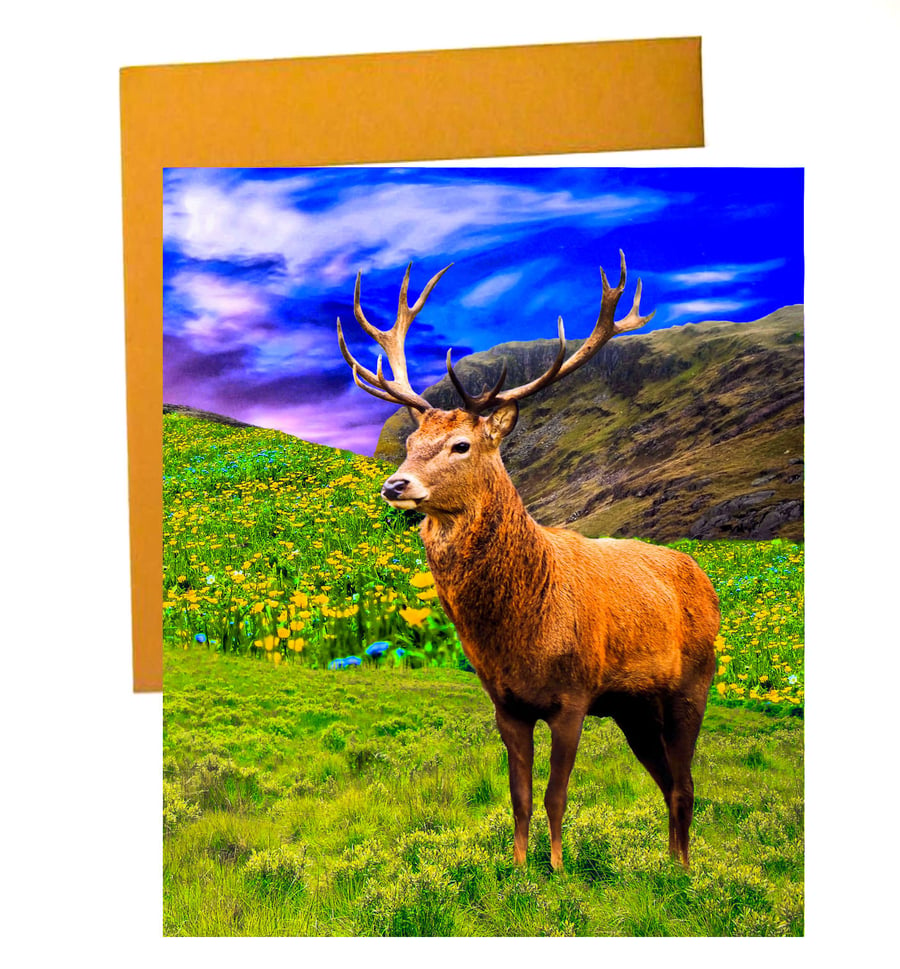 Double sided very unusual Card; Reindeer in Breathtaking Scenery 