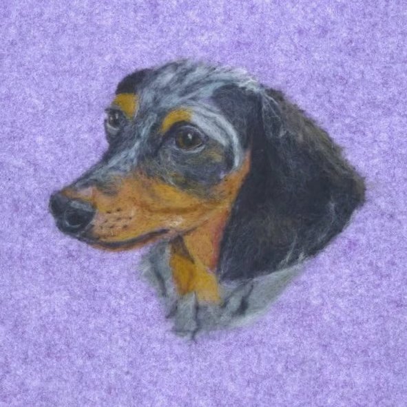 Summer Seconds Needle felted realistic Dachshund original artwork